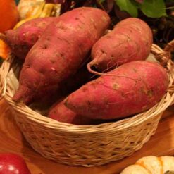 Alternative view of sweet potatoes