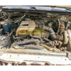 Alternative view of Nissan Hardbody