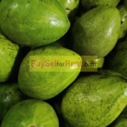 Alternative view of Avocado/avoka