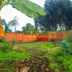 Alternative view of Commercial & Residential Plots/Musanze Rwambogo, Gakoro