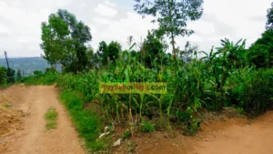 Well located Residential plot for sale Kicukiro / Rusororo / Nyagahinga