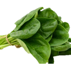 spinach/epinard