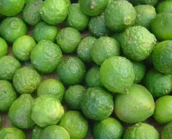 Alternative view of Lemon/Indimu