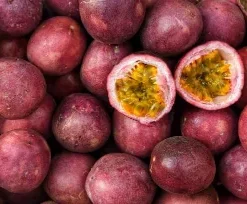 passion fruits/amatunda